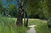 Wanderurlaub am Comer See
