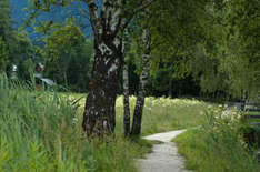 Wanderurlaub am Comer See