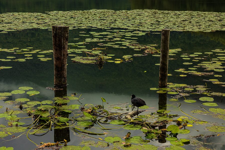 Landschaft im Naturreservat Lago di Piano