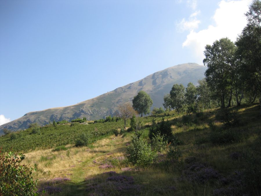 Monte Berlinghera mit Blick auf die Berg- und Seenlandschaft nahe Gera Lario